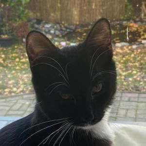 Meet your Posher, Janie